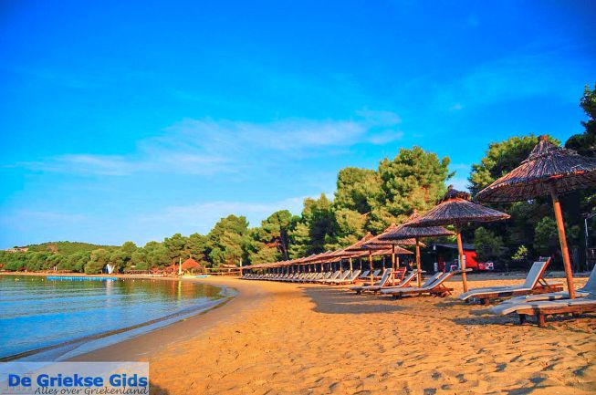 Skiathos strand Koukounaries