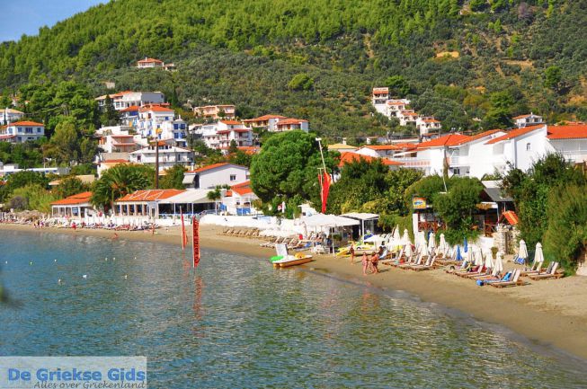 Ftelia Skiathos