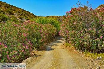 Agios Konstantinos Astypalaia - Dodecanese foto 16 - Foto van https://www.grieksegids.nl/fotos/astypalaia/agios-konstantinos-astypalaia/350pix/agios-konstantinos-astypalaia-016.jpg