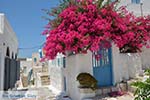 Chora Astypalaia (Astypalea) - Dodecanese -  Foto 99 - Foto van De Griekse Gids