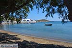 Maltezana - Analipsi Astypalaia (Astypalea) - Dodecanese -  Foto 20 - Foto van De Griekse Gids