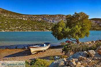 Mesa Nisi Astypalaia - Astypalaia Dodecanese foto 7 - Foto van https://www.grieksegids.nl/fotos/astypalaia/mesa-nisi-astypalaia/350pix/mesa-nisi-astypalaia-007.jpg
