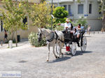 Paard en koets in Athene - Foto van De Griekse Gids