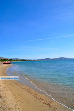 Nea Makri bij Athene | Attica - Atheense Riviera | De Griekse Gids foto 3 - Foto van De Griekse Gids