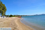 GriechenlandWeb.de Nea Makri Athene | Attica - Atheense Riviera | GriechenlandWeb.de foto 4 - Foto GriechenlandWeb.de