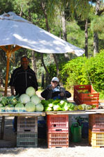 Groenteboer Nea Makri | Attica - Atheense Riviera | De Griekse Gids foto 2 - Foto van De Griekse Gids