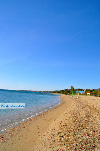 Nea Makri bij Athene | Attica - Atheense Riviera | De Griekse Gids foto 2 - Foto van https://www.grieksegids.nl/fotos/athene/normaal/athene-attica-atheenseriviera-047.jpg