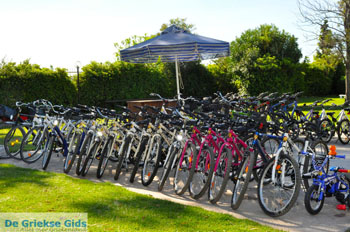 Hotel Golden Coast Nea Makri | Attica - Atheense Riviera | De Griekse Gids foto 1 - Foto van https://www.grieksegids.nl/fotos/athene/normaal/athene-attica-atheenseriviera-050.jpg