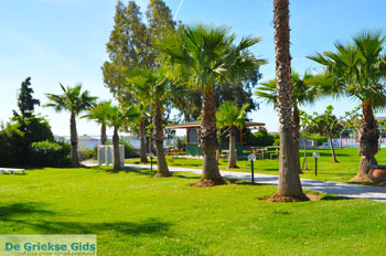 Hotel Golden Coast Nea Makri | Attica - Atheense Riviera | De Griekse Gids foto 2 - Foto van https://www.grieksegids.nl/fotos/athene/normaal/athene-attica-atheenseriviera-051.jpg