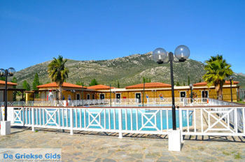 Hotel Golden Coast Nea Makri | Attica - Atheense Riviera | De Griekse Gids foto 6 - Foto van https://www.grieksegids.nl/fotos/athene/normaal/athene-attica-atheenseriviera-055.jpg