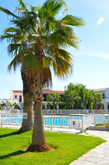 Hotel Golden Coast Nea Makri | Attica - Atheense Riviera | De Griekse Gids foto 7 - Foto van https://www.grieksegids.nl/fotos/athene/normaal/athene-attica-atheenseriviera-056.jpg