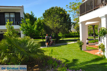 Hotel Golden Coast Nea Makri | Attica - Atheense Riviera | De Griekse Gids foto 8 - Foto van https://www.grieksegids.nl/fotos/athene/normaal/athene-attica-atheenseriviera-057.jpg