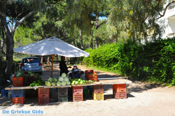 Groenteboer Nea Makri | Attica - Atheense Riviera | De Griekse Gids foto 1 - Foto van https://www.grieksegids.nl/fotos/athene/normaal/athene-attica-atheenseriviera-058.jpg