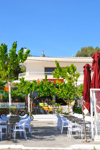 Nea Makri bij Athene | Attica - Atheense Riviera | De Griekse Gids foto 9 - Foto van https://www.grieksegids.nl/fotos/athene/normaal/athene-attica-atheenseriviera-064.jpg