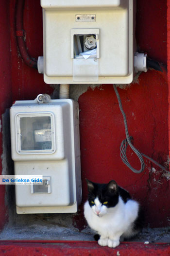 Nea Makri bij Athene | Attica - Atheense Riviera | De Griekse Gids foto 13 - Foto van https://www.grieksegids.nl/fotos/athene/normaal/athene-attica-atheenseriviera-068.jpg