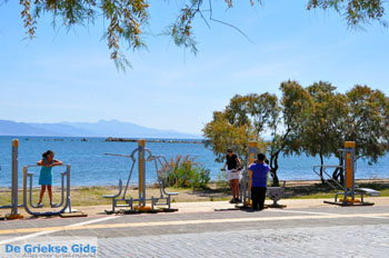 Nea Makri bij Athene | Attica - Atheense Riviera | De Griekse Gids foto 15 - Foto van https://www.grieksegids.nl/fotos/athene/normaal/athene-attica-atheenseriviera-070.jpg