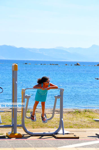 Nea Makri bij Athene | Attica - Atheense Riviera | De Griekse Gids foto 16 - Foto van https://www.grieksegids.nl/fotos/athene/normaal/athene-attica-atheenseriviera-071.jpg