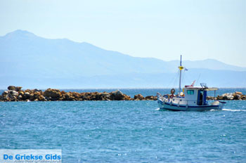 Nea Makri bij Athene | Attica - Atheense Riviera | De Griekse Gids foto 17 - Foto van https://www.grieksegids.nl/fotos/athene/normaal/athene-attica-atheenseriviera-072.jpg