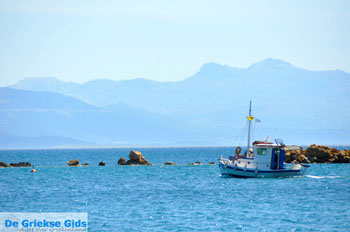 Nea Makri bij Athene | Attica - Atheense Riviera | De Griekse Gids foto 18 - Foto van https://www.grieksegids.nl/fotos/athene/normaal/athene-attica-atheenseriviera-073.jpg