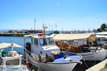 Nea Makri bij Athene | Attica - Atheense Riviera | De Griekse Gids foto 20 - Foto van https://www.grieksegids.nl/fotos/athene/normaal/athene-attica-atheenseriviera-075.jpg