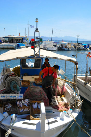 Nea Makri bij Athene | Attica - Atheense Riviera | De Griekse Gids foto 21 - Foto van https://www.grieksegids.nl/fotos/athene/normaal/athene-attica-atheenseriviera-076.jpg