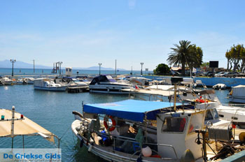 Nea Makri bij Athene | Attica - Atheense Riviera | De Griekse Gids foto 22 - Foto van https://www.grieksegids.nl/fotos/athene/normaal/athene-attica-atheenseriviera-077.jpg