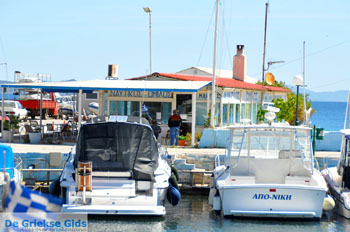 Nea Makri bij Athene | Attica - Atheense Riviera | De Griekse Gids foto 23 - Foto van https://www.grieksegids.nl/fotos/athene/normaal/athene-attica-atheenseriviera-078.jpg