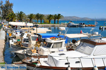 Nea Makri bij Athene | Attica - Atheense Riviera | De Griekse Gids foto 24 - Foto van De Griekse Gids