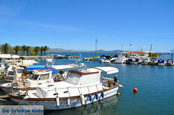 Nea Makri bij Athene | Attica - Atheense Riviera | De Griekse Gids foto 25 - Foto van https://www.grieksegids.nl/fotos/athene/normaal/athene-attica-atheenseriviera-080.jpg