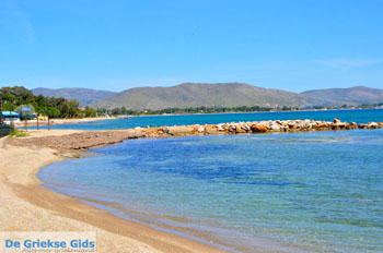 Nea Makri bij Athene | Attica - Atheense Riviera | De Griekse Gids foto 28 - Foto van https://www.grieksegids.nl/fotos/athene/normaal/athene-attica-atheenseriviera-083.jpg