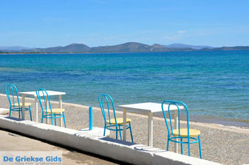 Nea Makri bij Athene | Attica - Atheense Riviera | De Griekse Gids foto 29 - Foto van https://www.grieksegids.nl/fotos/athene/normaal/athene-attica-atheenseriviera-084.jpg