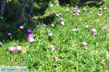 Nea Makri bij Athene | Attica - Atheense Riviera | De Griekse Gids foto 31 - Foto van https://www.grieksegids.nl/fotos/athene/normaal/athene-attica-atheenseriviera-086.jpg