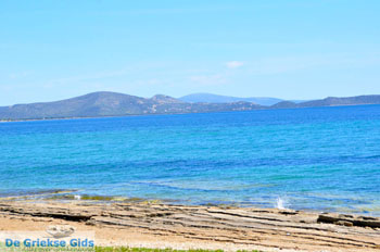 Nea Makri bij Athene | Attica - Atheense Riviera | De Griekse Gids foto 32 - Foto van https://www.grieksegids.nl/fotos/athene/normaal/athene-attica-atheenseriviera-087.jpg