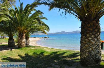 Nea Makri bij Athene | Attica - Atheense Riviera | De Griekse Gids foto 34 - Foto van https://www.grieksegids.nl/fotos/athene/normaal/athene-attica-atheenseriviera-089.jpg