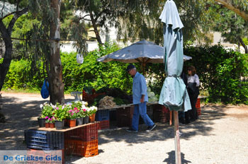 Nea Makri bij Athene | Attica - Atheense Riviera | De Griekse Gids foto 35 - Foto van https://www.grieksegids.nl/fotos/athene/normaal/athene-attica-atheenseriviera-090.jpg