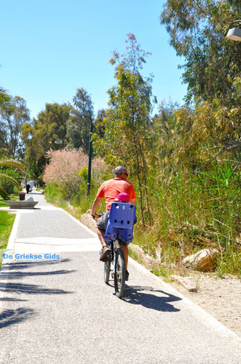 Nea Makri bij Athene | Attica - Atheense Riviera | De Griekse Gids foto 36 - Foto van https://www.grieksegids.nl/fotos/athene/normaal/athene-attica-atheenseriviera-091.jpg