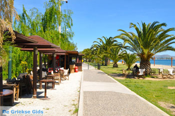 Nea Makri bij Athene | Attica - Atheense Riviera | De Griekse Gids foto 37 - Foto van https://www.grieksegids.nl/fotos/athene/normaal/athene-attica-atheenseriviera-092.jpg