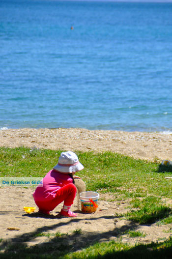 Nea Makri bij Athene | Attica - Atheense Riviera | De Griekse Gids foto 38 - Foto van https://www.grieksegids.nl/fotos/athene/normaal/athene-attica-atheenseriviera-093.jpg