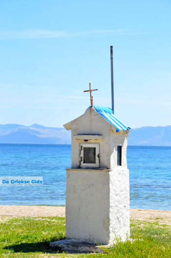 Nea Makri bij Athene | Attica - Atheense Riviera | De Griekse Gids foto 40 - Foto van https://www.grieksegids.nl/fotos/athene/normaal/athene-attica-atheenseriviera-095.jpg