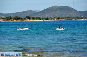 Nea Makri bij Athene | Attica - Atheense Riviera | De Griekse Gids foto 42 - Foto van https://www.grieksegids.nl/fotos/athene/normaal/athene-attica-atheenseriviera-097.jpg