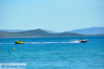 Nea Makri bij Athene | Attica - Atheense Riviera | De Griekse Gids foto 43 - Foto van https://www.grieksegids.nl/fotos/athene/normaal/athene-attica-atheenseriviera-098.jpg