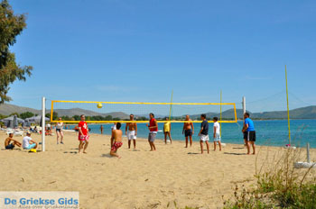 Nea Makri bij Athene | Attica - Atheense Riviera | De Griekse Gids foto 44 - Foto van https://www.grieksegids.nl/fotos/athene/normaal/athene-attica-atheenseriviera-099.jpg