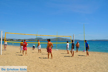 Nea Makri bij Athene | Attica - Atheense Riviera | De Griekse Gids foto 45 - Foto van https://www.grieksegids.nl/fotos/athene/normaal/athene-attica-atheenseriviera-100.jpg