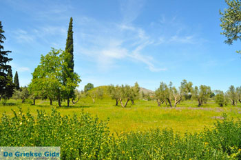 Marathon | Attica - Atheense Riviera | De Griekse Gids foto 6 - Foto van https://www.grieksegids.nl/fotos/athene/normaal/athene-attica-atheenseriviera-111.jpg