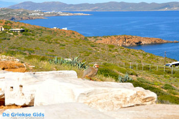 Sounio | Kaap Sounion bij Athene | Attica - Atheense Riviera foto 40 - Foto van https://www.grieksegids.nl/fotos/athene/normaal/athene-attica-atheenseriviera-153.jpg