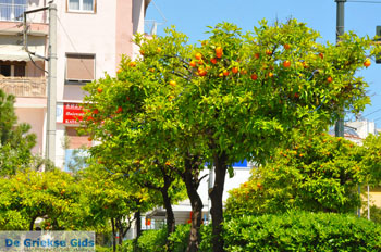 Nea Makri bij Athene | Attica - Atheense Riviera | De Griekse Gids foto 51 - Foto van https://www.grieksegids.nl/fotos/athene/normaal/athene-attica-atheenseriviera-221.jpg