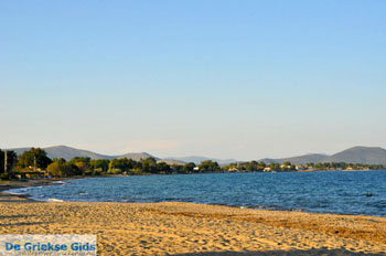 Strand Nea Makri | Attica - Atheense Riviera | De Griekse Gids foto 1 - Foto van https://www.grieksegids.nl/fotos/athene/normaal/athene-attica-atheenseriviera-228.jpg