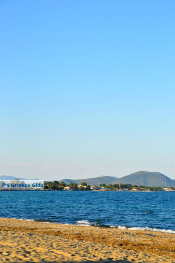 Strand Nea Makri | Attica - Atheense Riviera | De Griekse Gids foto 2 - Foto van https://www.grieksegids.nl/fotos/athene/normaal/athene-attica-atheenseriviera-229.jpg
