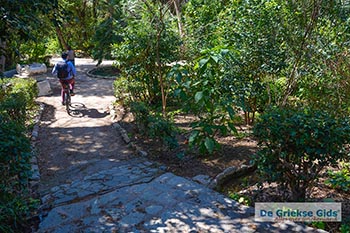 Nationale Tuin Athene 001 - Foto van https://www.grieksegids.nl/fotos/athene/overig/normaal/nationale-tuin-athene-001.jpg