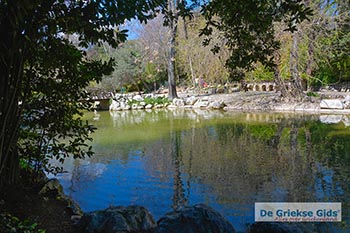 Nationale Tuin Athene 002 - Foto van https://www.grieksegids.nl/fotos/athene/overig/normaal/nationale-tuin-athene-002.jpg